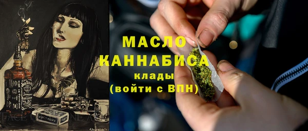 гидра Верхний Тагил