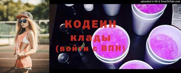 гидра Верхний Тагил
