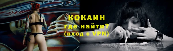 гидра Верхний Тагил