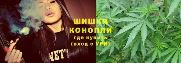гидра Верхний Тагил